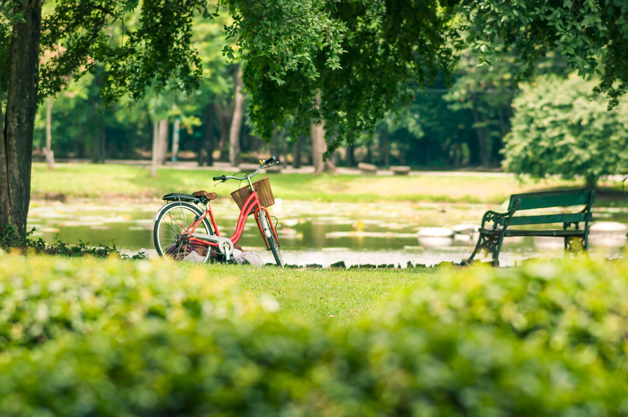 Top 5 Parks in Menomonee Falls